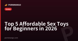 Top 5 Affordable Sex Toys for Beginners in 2026 — Pornmango