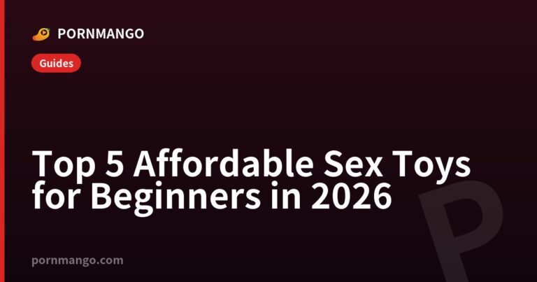 Top 5 Affordable Sex Toys for Beginners in 2026 — Pornmango